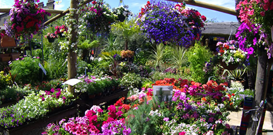 Flowers Verwarming voor tuincentrum