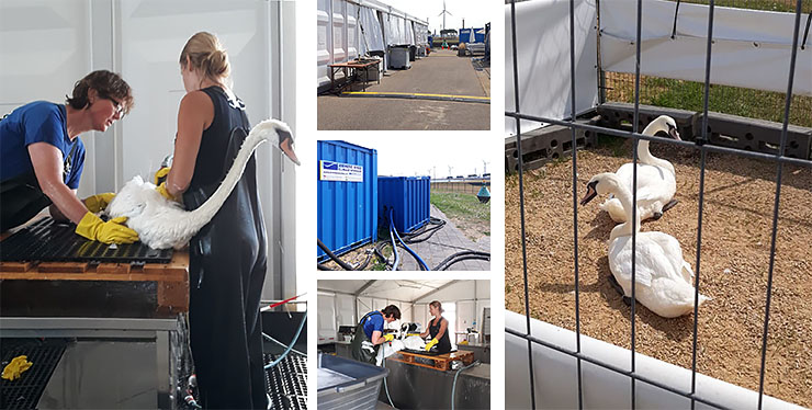 andrews-sykes-boiler-huren-olieschade-blog Ketelhuizen helpen bij herstellen van milieuschade na olielekkage in havengebied