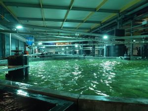 Viskwekerij project: Verwarming voor bassins